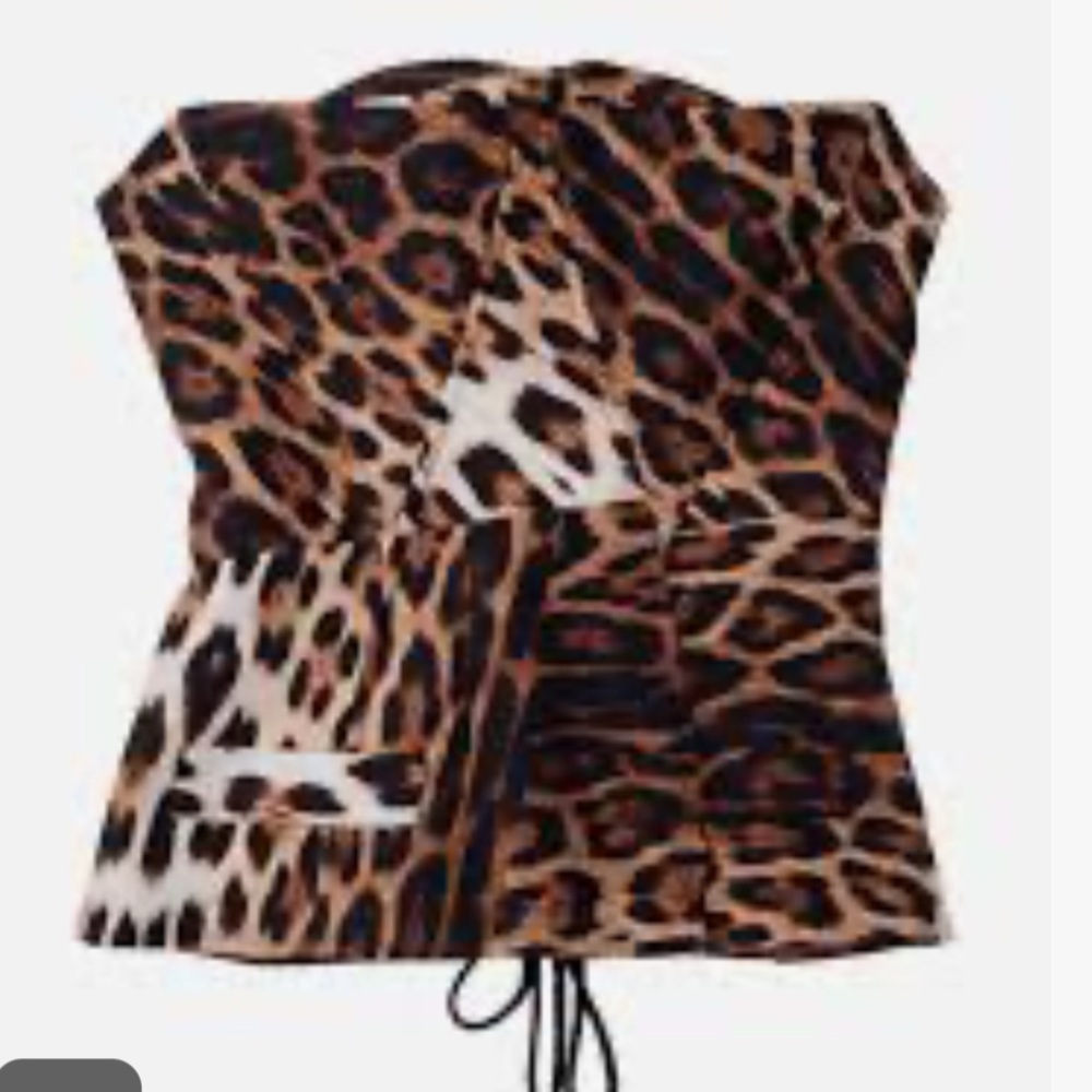 Roberto Cavalli for H&M Animal Print corset